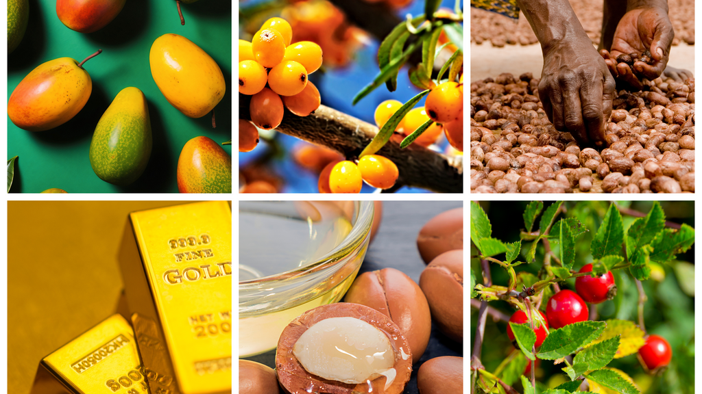 Top 6 Anti-Aging Ingredients: How Rosehip Oil, Argan Oil, 24K Gold & More Keep Your Skin Youthful