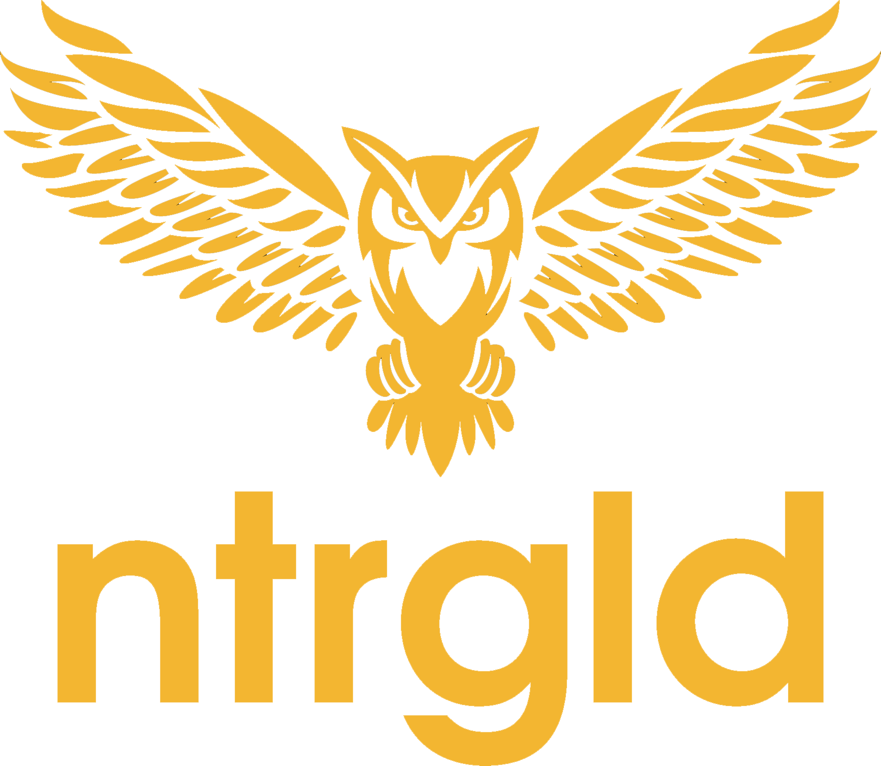 logo of NETER GOLD | Oil Infused Wooden Combs, African Black Soap, Beard Care - Neter Gold